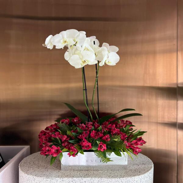 2b1c6692_WhatsApp Image 2026-03-29 at 12.47.07 PM.jpeg